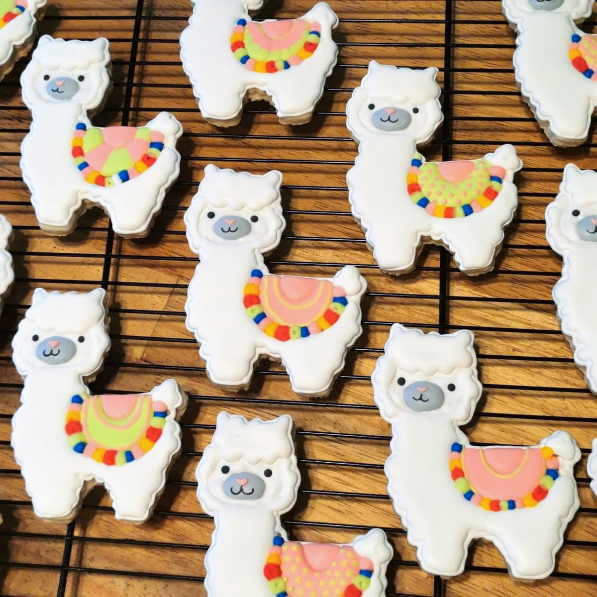 Llama cookie cutters sales