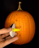 Mr Pumpkin Head - Scared Set