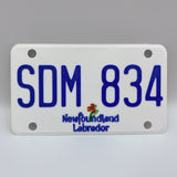 Replica Newfoundland & Labrador License Plate