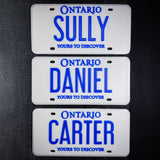 Replica Ontario License Plate